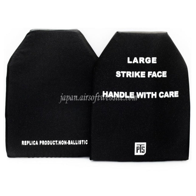 PTS SAPIダミープレート フロント&バック Lサイズ 2枚